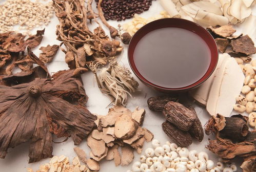 科技驱动视角下中药产业创新发展的问题与出路——聚焦中草药科技领域技术咨询