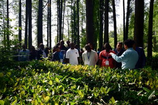 中非合作新篇章 青年科技人员共推生态环保与中草药科技发展