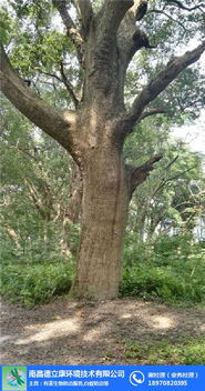 德立康环境技术 连接白蚁防治与中草药科技的专业桥梁